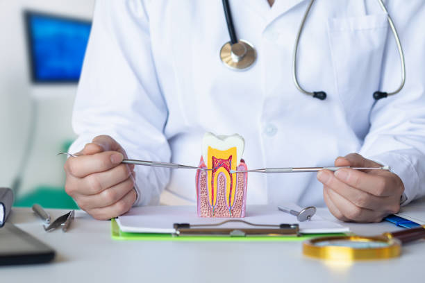 Best Emergency Dental Surgery in Greenbrier, AR